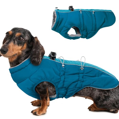 Katzinst Hunde Wintermantel Wasserbeständig, Verstellbarer Halsausschnitt, Hundemantel mit Geschirr und Durch Verstellbare Gummizüge, Hundebekleidung für Mittlere Hunde, Cocker Spaniel, Grün, M