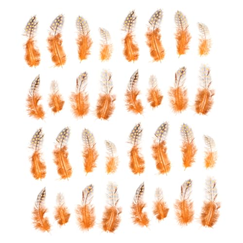 COHEALI 100 Piezas Pluma de pollo con perlas ave falsa falso pavo para manualidades joyería de bricolaje home decor decoração casa decoraciones de hermosas Orange