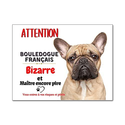 Plaque Gravée "ATTENTION AU CHIEN" Finition Biseautée Format 48 X 100 Mm