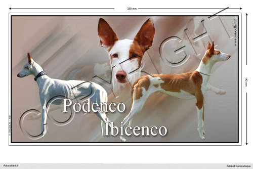 Adhesivo de perro panorámico 25 cm Podenco-Ibicenco Cover