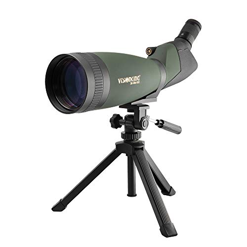 12 Best Spotting Scopes Under 300 on the market 2024