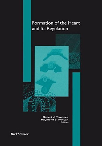 Formation of the Heart and its Regulation (Cardiovascular Molecular Morphogenesis)