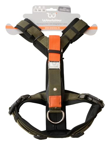Wowwow Innovatives Hundegeschirr mit Integrierter Leine | Größenverstellbar, bis 150kg Zugkraft | Neopren Gepolstert | 60cm Leine | Für Sicheres und Komfortables Gassigehen