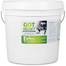 Jeffers Equine Got Hoof? Concentrated Horse Powder Hoof Supplement, 10 lbs - Biotin, Methionine, Zinc & Amino Acids for Safe Hoof Growth, Strength, and Dry Hooves - Includes 1 oz Scoop