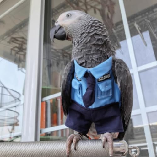 Roupas de pássaro fofas para festa de Natal, fantasia de aniversário para Halloween, animais de esti
