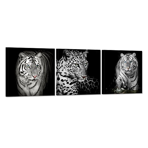 Ihappywall 3 Pieces Black And White Leopard Print Tiger Canvas Wall Art Abstract Animal Picture Painting On Canvas Ready To Hang For Living Room Decoration 12X12Inchx3Pcs #TOP20