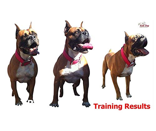 Knk Dog Supplies Big Dog Harness Padded Strong Sturdy By Knk Dog Supplies | Weight Pulling Harness Vest Large Dogs Training Quick Walking Keep Your Dog Amused And In Great Shape By Draining Accumulated Energy! thumb #5