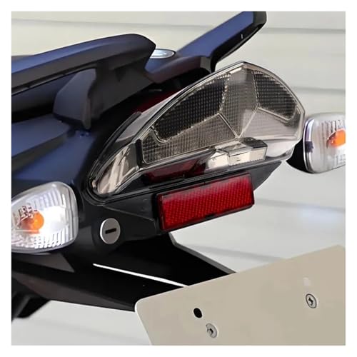 Luz trasera LED integrada con intermitentes de alta resistencia para BMW GS 6