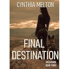 Final Destination Audiolibro Por Cynthia Melton arte de portada