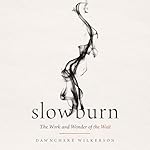 Cover of Slow Burn