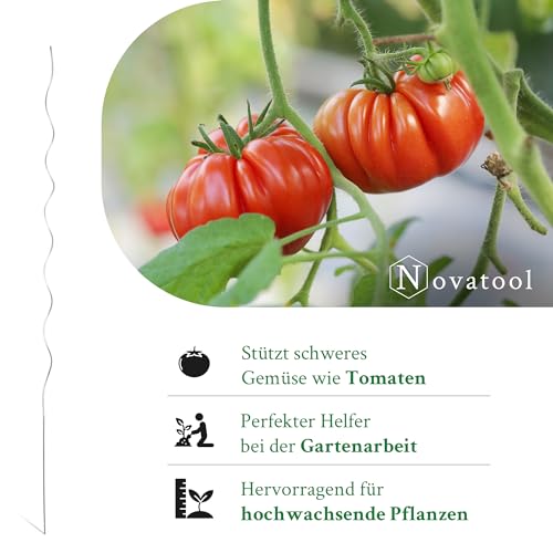 Novatool 20 Stück Tomatenstäbe 170 cm x 5 mm Ø Rankhilfe für Tomaten und Gurken Tomatenturm Rankstäbe Tomatenstangen 170cm Rankhilfen für Kletterpflanzen Pflanzstäbe Tomatenstab Bohnenstangen 4