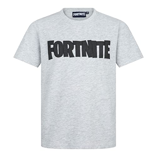 Fortnite | Toys & Gamers | LOGO | T-shirt unisex in cotone a maniche corte con logo da gioco taglie 10-16 anni, Grigio, 16 Anni