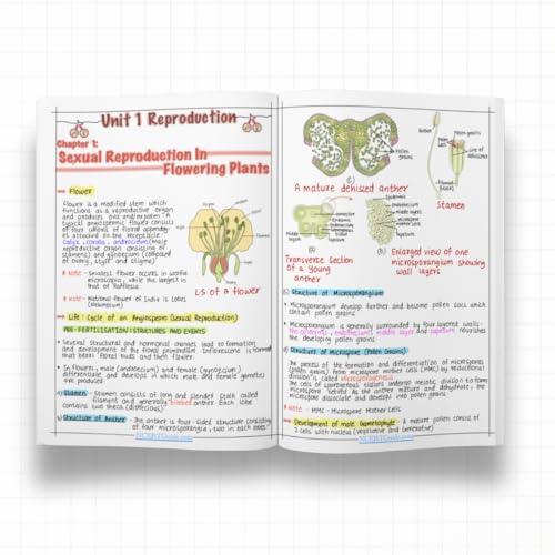 Image of Class 12 Biology Short Notes 2026-27 | Handwritten Colorful Study Guide | CBSE NCERT Quick Revision Book for Diagrams, Definitions & Key Concepts