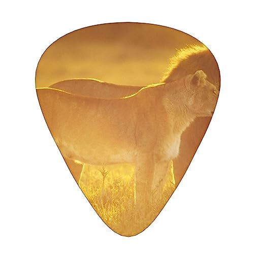 Médiator de guitare avec 12 médiators en forme d’animaux sauvages tendance et durables dans une boîte pour ukulélé guitare électrique basse - Les Beatles, Paul McCartney, John Lennon, RIngo Starr, George Harrison Médiator de guitare avec 12 médiators en forme d'animaux sauvages tendance et durables dans une boîte pour ukulélé guitare électrique basse