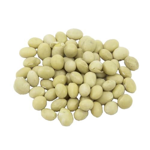 Bongiovanni Bontà Naturali Soja Amarilla Especial para Tofu 25Kg ECOLÓGICA