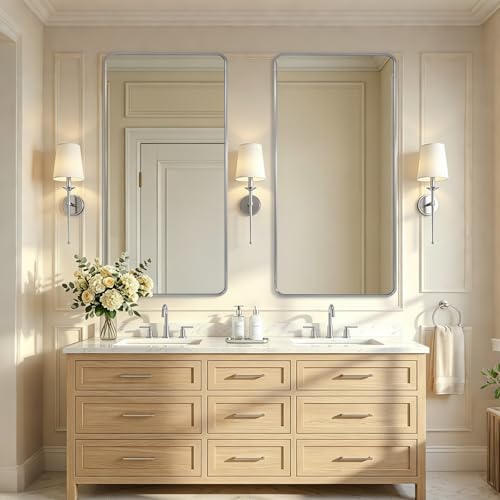 Image of ANDY STAR 24x48'' Brushed Nickel Bathroom Vanity Mirror for Over Sinks, Rounded Rectangle Bathroom Wall Mirror in 1'' Rustproof Tube Metal Frame Mirror Decorative Wall-Mounted Horizontal /Vertical
