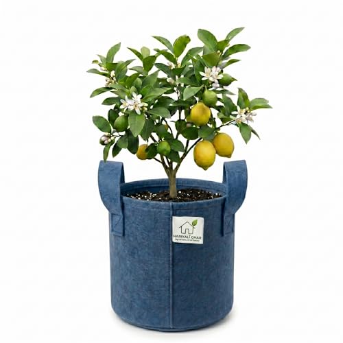 Image of 400 GSM Geo Fabric Round Grow Bags 9x9 Inch with Handle, Blue Planting Bags for Terrace and Kitchen Gardening Pack of 1