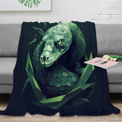 Couverture moelleuse microfibre idéale pour chambre étudiante et studio