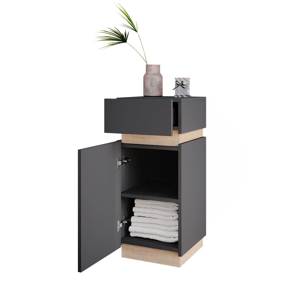 Vicco Mobiletto bagno Gloria, Antracite, 33 x 75.5 cm con anta e cassetto, con apertura per sifone e compatibile con la serie Gloria