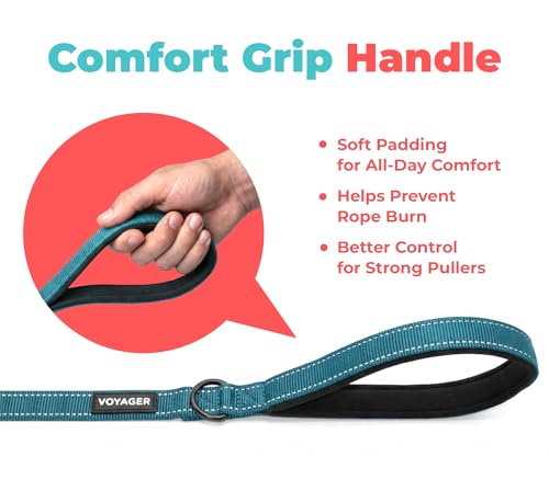 Image of Best Pet Supplies Voyager Reflective Dog Leash or Collar with Neoprene Handle, for Small, Medium, and Large Breed Puppies, Cute and Heavy Duty for Walking, Running and Training - Turquoise (Leash), L