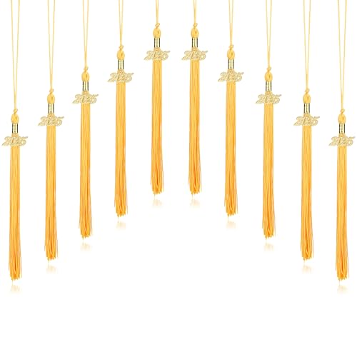 ZIRURUTON 10 Pieces 2025 Graduation Cap Tassels with Gold Charms Graduation Decorations for Ceremony Party-Gold