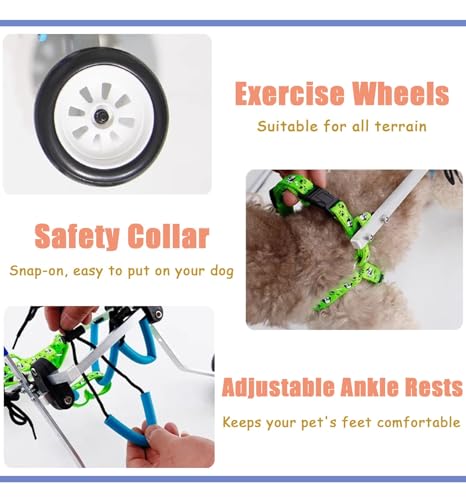 Silla de ruedas para perros pequeños: libertad para el día a día 6