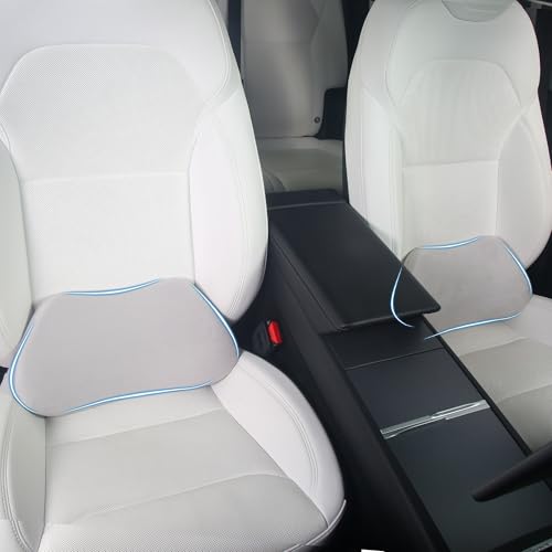 Dapucarin Lumbar Support Pillow for Car Lower Back Cushion, Gray, 2 Packs by Dapucarin - Used condition - US$41.57