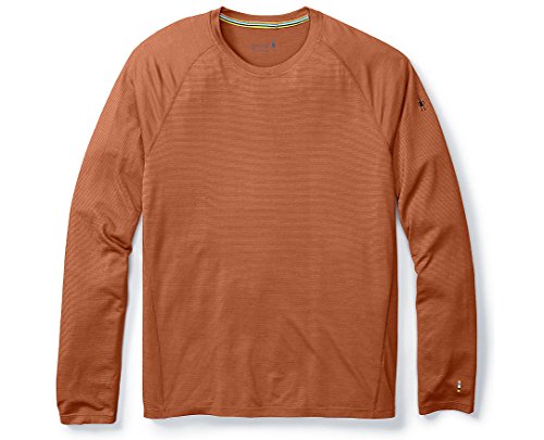 Smartwool Mens Long Sleeve Shirt - Merino 150 Wool Baselayer Pattern Performance Top Cardamom - Past Season Small
