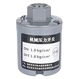 Druckregler, AC G3/8" Innengewinde Automatischer Wasserpumpen-Druckschalter, mechanischer Druckregler for 150W-750W Druckerhöhungspumpe(2)