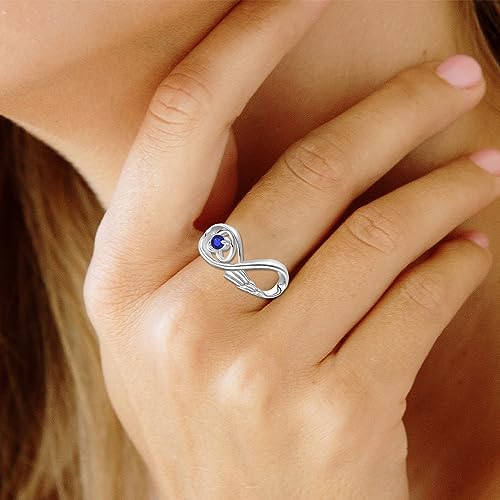 Promise Ring 925 Sterling Silver Infinity Wings Rings Heart Birthstone Ring for Women Birthday Anniversary Christmas Size 5-103