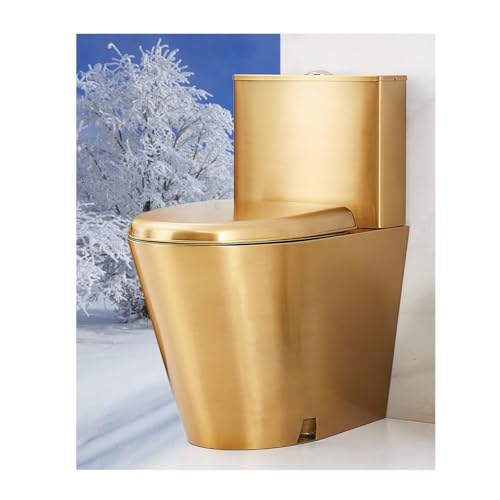 Inodoro de una pieza de alta eficiencia que ahorra agua con bidé de sifón anticongelante resistente a las manchas (3/6 L), ideal para hogares de alta velocidad y metro