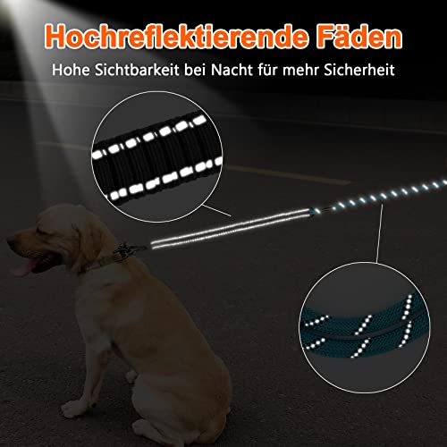 Schleppleine Aystkniet Bungee für Hunde in verschiedenen Längen