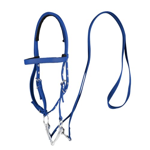BIGANTTOW Adjustable Horse Bridle with Stainless Steel Bit Black Nylon Headstall with Reins Horse Bridles with Bit Non-Slip Design (Blue L)