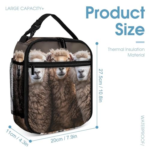 Three Sheeps 3 PCS Backpack Set Casual Daypack with Insulated Lunch Bag & Pencil Case4