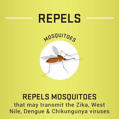 Repel Lemon Eucalyptus Natural Insect Repellent, 4-Ounce Pump Spray