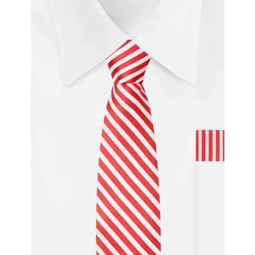 Jacob Alexander Young Boys' Candy Cane Stripe 11 inch Pre-Tied Zipper Neck Tie4