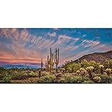 AWERT 36x18 inches Terrarium Background Blue Sky Cloud Huge Cactus Oasis Gobi Reptile Habitat Background Vinyl