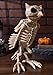 Crazy Bonez Skeleton Owl