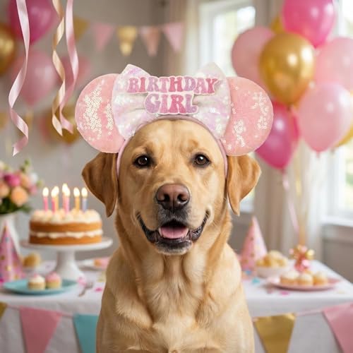 Disfraz de cumpleaños para perro orejas de ratón rosa grande miniatura 3