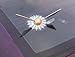 Gold Snitch Window Splat