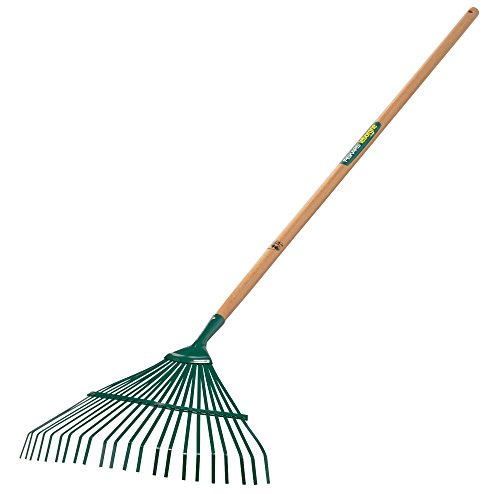 LEBORGNE - Balai à Gazon Fil Plat 22 Dents - Manche Bois Certifié PEFC 100% - Outil Jardinage pour Ramassage et Scarification Pelouses et Allées - 44 cm -...