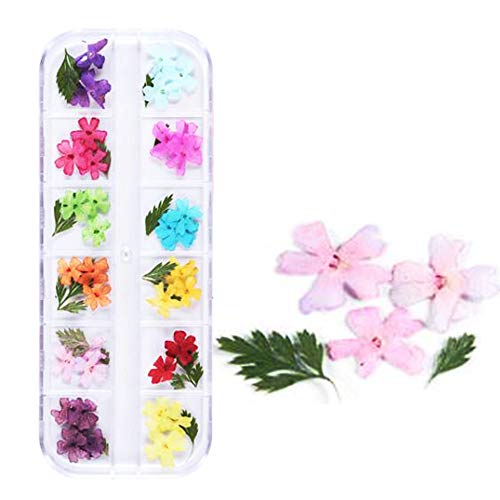 Dried Flowers Nail Art, 1 Box Nail Art Real Natural 3D Dry Flowers for Nails, 3D Nail Dried Flowers Sticker for Nail Art Decoration. (Color 2)