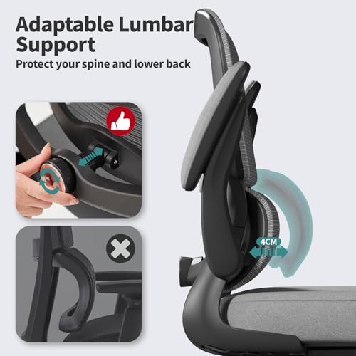 Image of TRALT Office Chair - Ergonomic Desk Chair with Adjustable Lumbar Support, Mesh Computer Chair, Executive Chair for Home Office Comfortable Lumbar Support (1, Fog Gray)