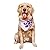 I Wear Purple For Pancreatic Cancer Awareness Dog Bandanas Triangle Bibs Pet Scarf For Small Medium Large Dogs And Cat