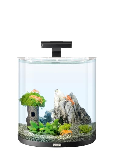 Tetra Explorer Line 30 L Aquarium Komplett-Set, schwarz | Design Aquarium | mit gebogener Frontscheibe | mit LED-Beleuchtung, Technik, Futter & Pflegemitteln