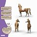 Imagen de schleich Horse Club
