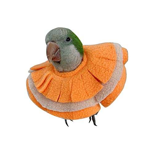 Image of Adjustable Parrot Cone Collar, Safe and Practical Cotton Collar to Prevent Bites and Licking Wounds, to Help heal (XL)