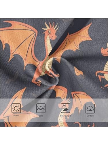 ZZKKO Cartoon Flying Dinosaur Girls Underwear Toddler Panties for Girls Comfort Brief Size 2-8T3