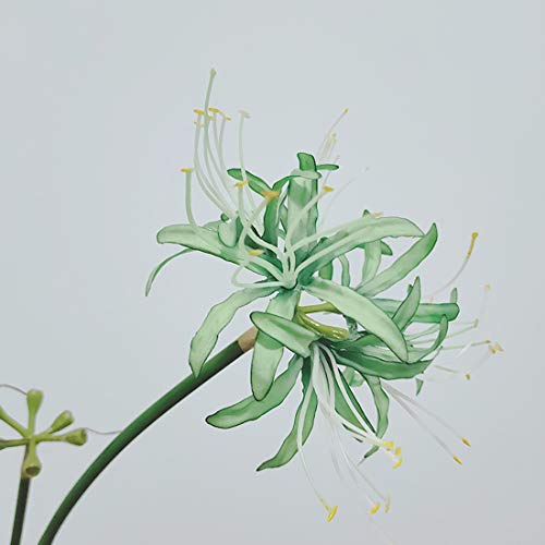 Image of 6 Stems 26.38 Inch Artificial Lycoris Radiata Spider Lily Flowers for Home Garden Decoration (Green)