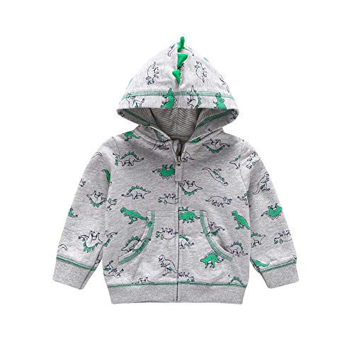 0-3 Years Old Toddler Baby Boys Girls Long Sleeve Cartoon Dinosaur Printed Hoodies Kids Infant Cute Warm Sweatshirt Zip-up Jacket Coat (3T, Gray Dinosaur)